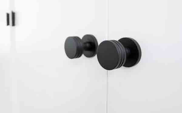Emtek Doorknobs